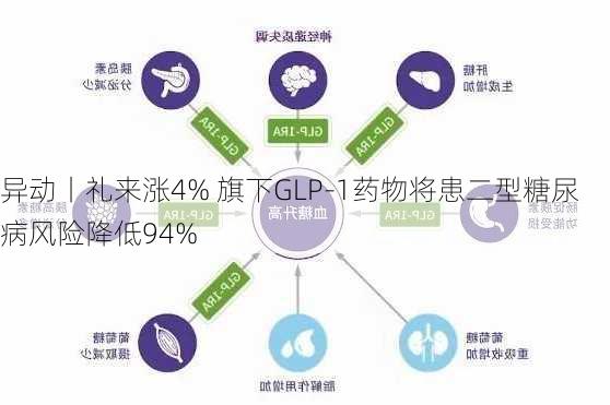 
异动丨礼来涨4% 旗下GLP-1药物将患二型糖尿病风险降低94%