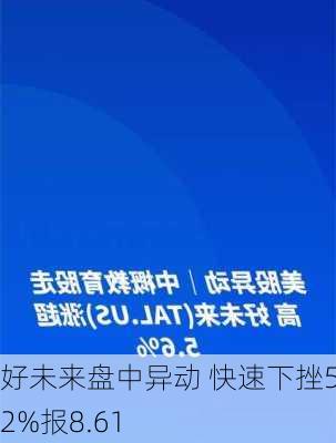 好未来盘中异动 快速下挫5.02%报8.61
