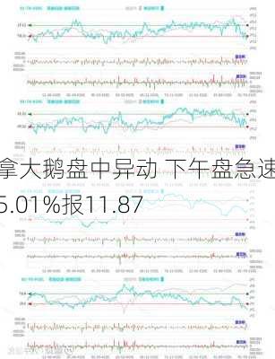 加拿大鹅盘中异动 下午盘急速拉升5.01%报11.87
