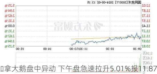 加拿大鹅盘中异动 下午盘急速拉升5.01%报11.87
