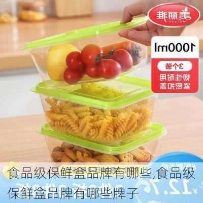 食品级保鲜盒品牌有哪些,食品级保鲜盒品牌有哪些牌子