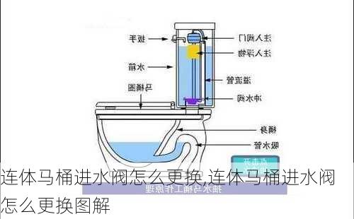 连体马桶进水阀怎么更换,连体马桶进水阀怎么更换图解