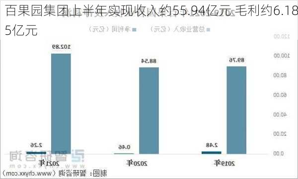 百果园集团上半年实现收入约55.94亿元 毛利约6.185亿元