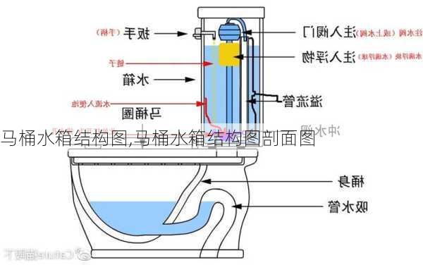 马桶水箱结构图,马桶水箱结构图剖面图