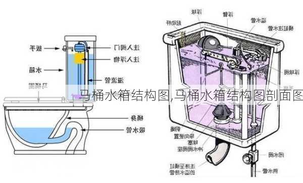 马桶水箱结构图,马桶水箱结构图剖面图