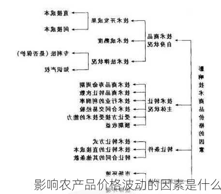 影响农产品价格波动的因素是什么