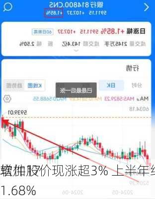 
软件股价现涨超3% 上半年纯利同
增加171.68%