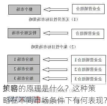 扩容
策略的原理是什么？这种策略在不同市场条件下有何表现？