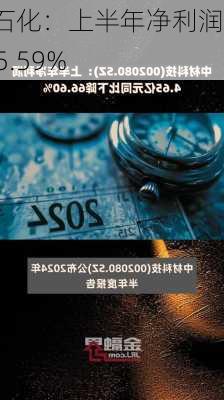 恒逸石化：上半年净利润4.3亿元 同
增465.59%