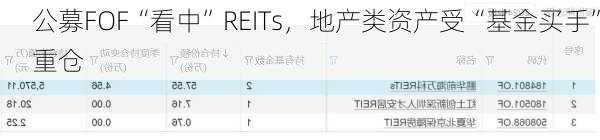 公募FOF“看中”REITs，地产类资产受“基金买手”重仓