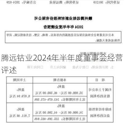 腾远钴业2024年半年度董事会经营评述