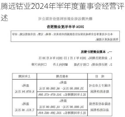 腾远钴业2024年半年度董事会经营评述