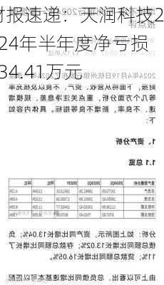 财报速递：天润科技2024年半年度净亏损934.41万元