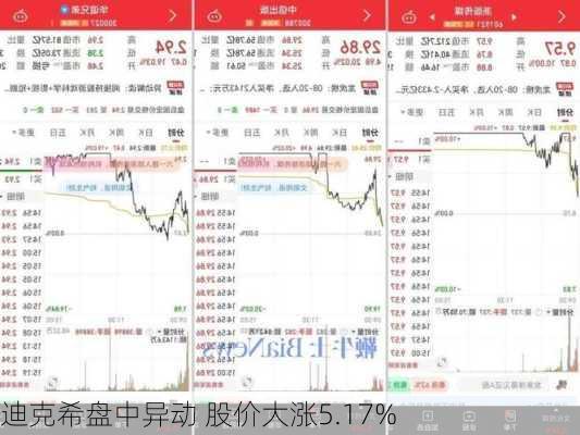 迪克希盘中异动 股价大涨5.17%