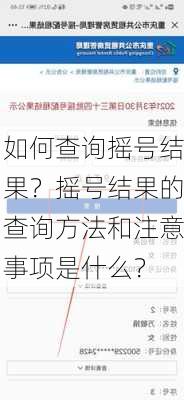 如何查询摇号结果？摇号结果的查询方法和注意事项是什么？