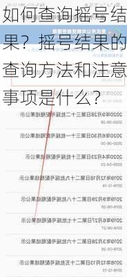 如何查询摇号结果？摇号结果的查询方法和注意事项是什么？