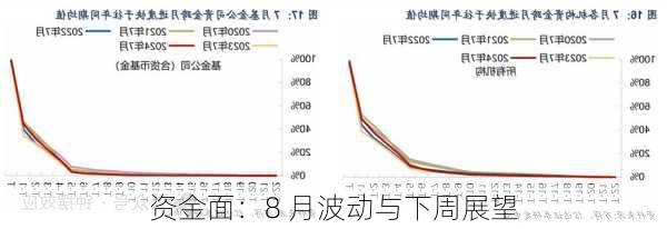 
资金面：8 月波动与下周展望