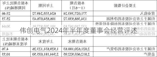 伟创电气2024年半年度董事会经营评述