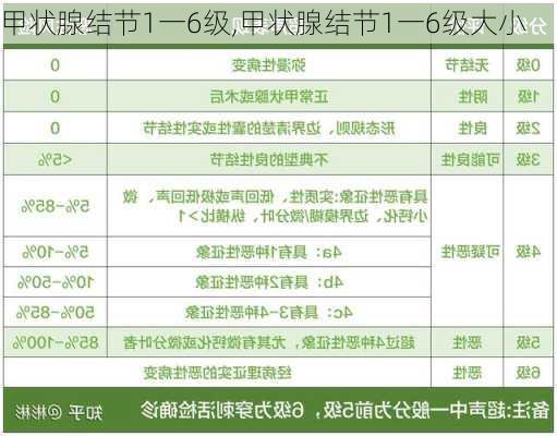 甲状腺结节1一6级,甲状腺结节1一6级大小