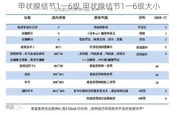 甲状腺结节1一6级,甲状腺结节1一6级大小