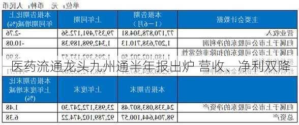 医药流通龙头九州通半年报出炉 营收、净利双降