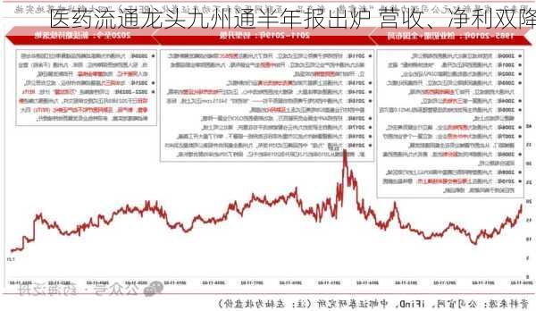 医药流通龙头九州通半年报出炉 营收、净利双降