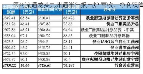 医药流通龙头九州通半年报出炉 营收、净利双降