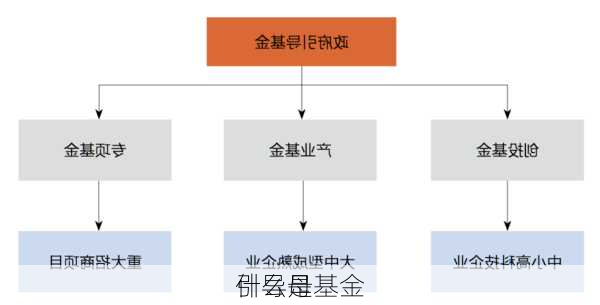 什么是
引导母基金