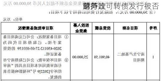 葫芦娃可转债发行被否 
财务
亟待改
