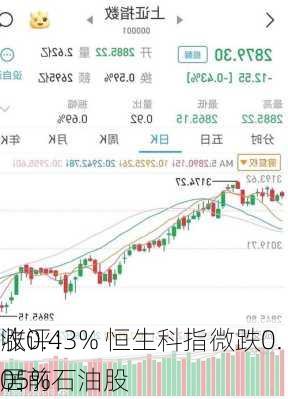 收评：
涨0.43% 恒生科指微跌0.05%石油股
居前