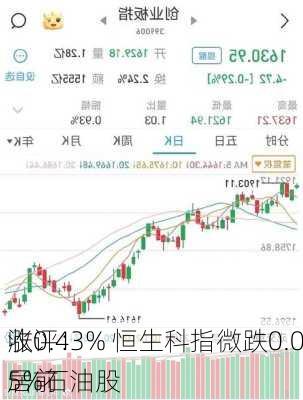 收评：
涨0.43% 恒生科指微跌0.05%石油股
居前