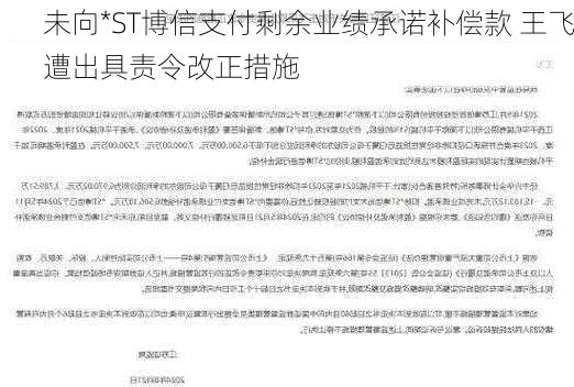 未向*ST博信支付剩余业绩承诺补偿款 王飞遭出具责令改正措施