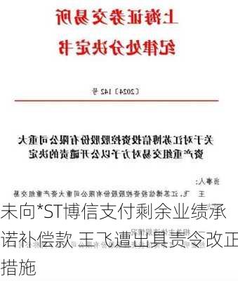 未向*ST博信支付剩余业绩承诺补偿款 王飞遭出具责令改正措施