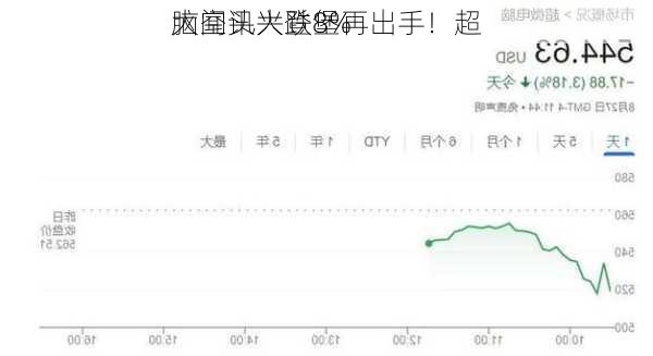 大空头兴登堡再出手！超
脑闻讯大跌8%