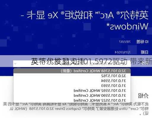 英特尔发31.0.101.5972驱动 带来新
及下代核显支持