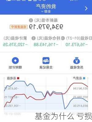 基金为什么 亏损