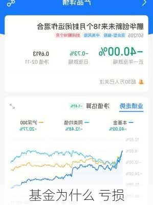 基金为什么 亏损