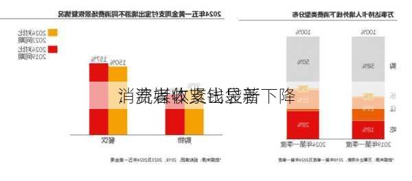 
消费者收紧钱袋新
：流媒体支出显著下降