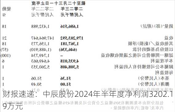 财报速递：中辰股份2024年半年度净利润3202.19万元