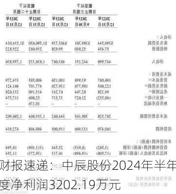 财报速递：中辰股份2024年半年度净利润3202.19万元