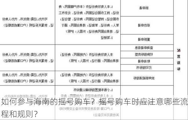 如何参与海南的摇号购车？摇号购车时应注意哪些流程和规则？