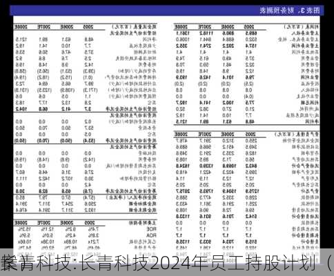 长青科技:长青科技2024年员工持股计划（
案）