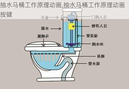 抽水马桶工作原理动画,抽水马桶工作原理动画 按键