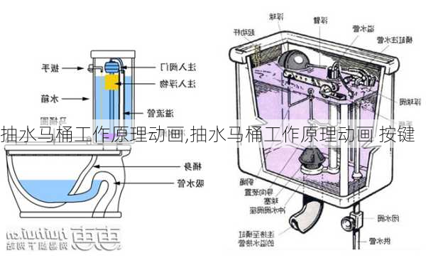 抽水马桶工作原理动画,抽水马桶工作原理动画 按键