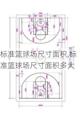 标准篮球场尺寸面积,标准篮球场尺寸面积多大