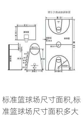 标准篮球场尺寸面积,标准篮球场尺寸面积多大