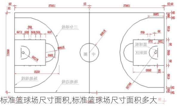 标准篮球场尺寸面积,标准篮球场尺寸面积多大