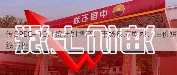 传OPEC+ 10月按计划增产，市场反应剧烈：油价短线重挫