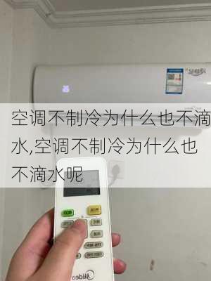 空调不制冷为什么也不滴水,空调不制冷为什么也不滴水呢