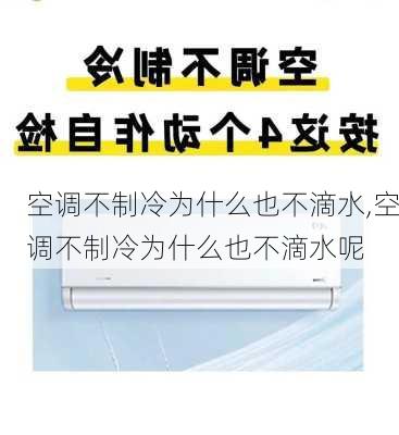 空调不制冷为什么也不滴水,空调不制冷为什么也不滴水呢